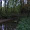 Bicentennial Woods, ACRES Nature Preserve