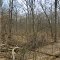 ACRES Bicentennial Woods Nature Preserve