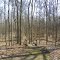 Little Cedar Creek ACRES Preserve