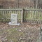 Historic Juliet Cemetery ~1840