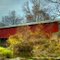 Mill Creek or Tow PathCovered Bridge