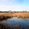 Wildlife pond and observation deck, Forest Glen Park