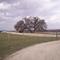 Tallgrass Prairie National Preserve