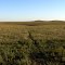 Tallgrass Prairie National Preserve 03
