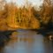 'Rogue River Moonrise'