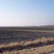 Hunting Area 001