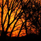 Water Well Road Dawn