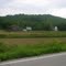 Farm near Dover, KY