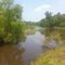 Wildlife Reserve Pond