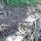 BLACK BEAR TRACK.