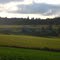 Rural Farmland Polk County Oregon