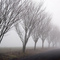 Monmouth in the fog