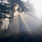 Dallas Sunbeams