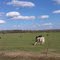 country road scenes