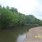Tangipahoa River @ Hwy 10 North View