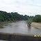 Tangipahoa River @ Hwy 16 South View
