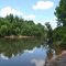 Tangipahoa River @ Hwy 40 South View