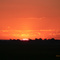 Midwest July Sunrise