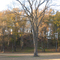 Poverty Point