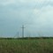Rural lines in Louisiana