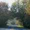 Arboreal Arch over Prospect Road, Prospect Road & Frains Lake Road, Superior Township, Michigan