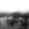 Marsh on Prospect Road in the Fog, Superior Township, Michigan