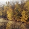 Kalamazoo River, west of Battle Creek, MI