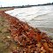 Goguac Lake beach in late fall (Willard Park)