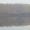 A sanhill crane flying over foggy Potter Lake