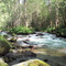 Stream in northern Oregon