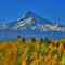 Close up of Mt Hood