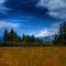 Mt Adams