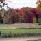 Colors in the Fall