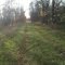 Railroad bed east of Hudson