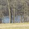 Moon Lake behind woods
