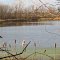 Embach Lake