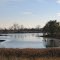 A pond beside Rollin Rd