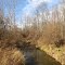 East Branch of St Joseph River on Camcross Rd