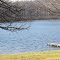 The winter season will start soon (Hart Lake, Watertown, MI)