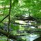 A stream