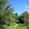 A trail goes in an open field (Seven Lakes State Park, MI)