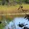 Nichols Lake