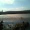 Pond