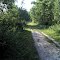 Trout lake trail