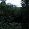 Deer Lake Lookout