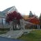 Left Front in Autumn