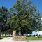 Norris City Cemetery