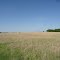 Minnesota Wildlife Refuge Area
