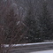 Snowy Day
