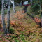 Cedar Cliff Retreat